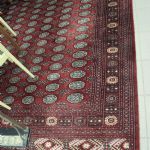 950 2138 ORIENTAL RUG